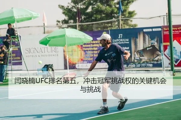 闫晓楠UFC排名第五，冲击冠军挑战权的关键机会与挑战